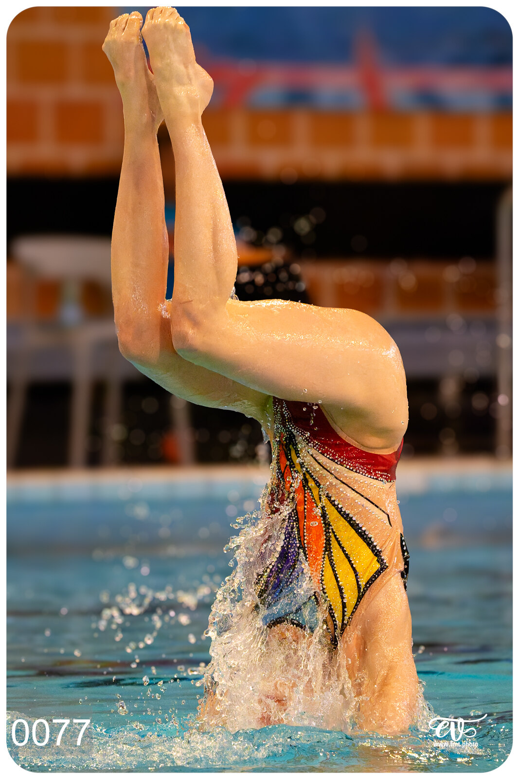 CHAMPIONNAT DE FRANCE DE NATATiON ARTISTIQUE N1 & ELITE 2026